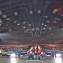 꽃길만 걷게 해줄'개' 이미지