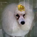 다올한방병원 이미지