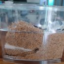 지니어스수학과학학원 이미지