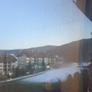 하이원콘도미니엄사우나 | 하이원리조트 마운틴콘도 이그제큐티브 스위트 복층 후기 (호텔, 콘도 전부 비교)