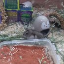 (주)케이지환경 이미지