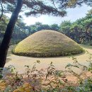 선덕왕의 능묘 낭산 이미지