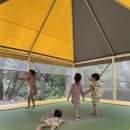 금물산하늘소캠프 이미지