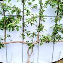 수형축산 이미지