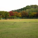 세성심약국 이미지