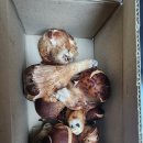 종호농장 이미지