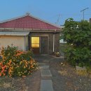 앨리스게스트하우스 | 제주 애월 아기자기한 여성전용 게스트하우스: 앨리스의 그림호텔 솔직후기