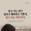 삼호중학교 이미지