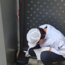 벌레잡는총각들(용인방역)