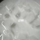 땡굴땡굴 Daum카페