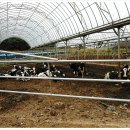 진양목장 이미지