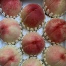 갈촌농장 이미지