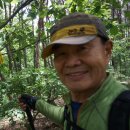 불당14로 이미지