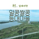 알콩쌀콩 등대마을 이미지