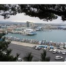 물고기세상 이미지