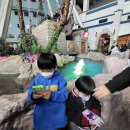 우리벨리햇님 이미지