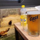 장터옛날통닭조양점 이미지