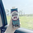 ㈜자연에너지 | 뉴케어 프로틴음료 편의점에서 직접 골라본 후기
