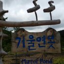 2018.6.14 봉화 백두대간 국립수목원과 이몽룡(성이성) 생가를 다녀오다. 이미지