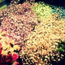 청와삼대명이보쌈.칼국수 이미지