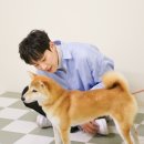 태호 이미지
