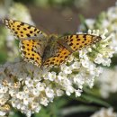 은향공인중개사사무소 이미지