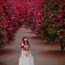 포레스트2 이미지