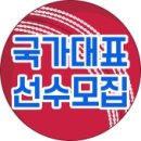 인천광역시크리켓협회 이미지