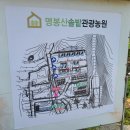 명봉산솔밭관광농원오토캠핑장 이미지