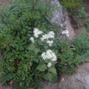 도장골2 이미지