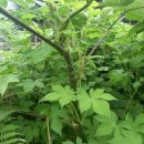 태한농장 이미지