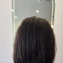 유림-1133 이미지