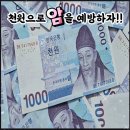 단돈 1000원으로 암을 예방하자 이미지