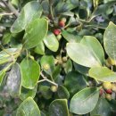 상효1동마을회관 이미지