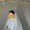 긴머리꽃방 | [브라이덜휘 피팅 및 계약후기] 브라이덜휘 수원본점 피팅 및 계약후기