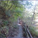 안골길 9 이미지