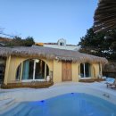 바바라 발리 이미지