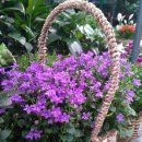 감성가득 라탄공예 이미지