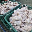 공음실내체육관 이미지