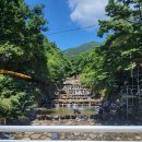 휴가는 잘들보내시나요? 이미지