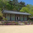 충남지물 | 공주 마곡사 [1] / 2026.04