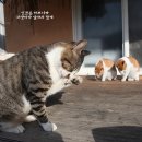 그루밍선데이 이미지