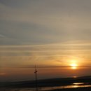 불티나는맛집 이미지