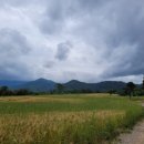 온달공인중개사사무소 이미지