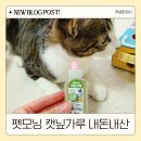 펫모닝 | 캣닢가루 펫모닝 고양이 장난감과 조합이 좋았던 후기