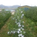 샛터농장 이미지