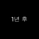 더포레스트 이미지