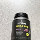 엑스텐드 bcaa 대신 삼대오백 산 이유 내돈내산 후기