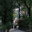 덕양목장1 이미지