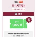 스팀데이